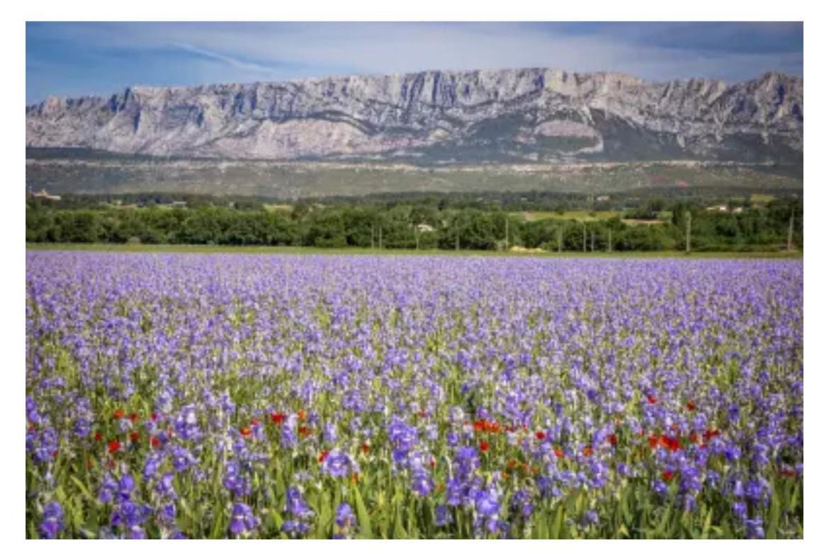 Aix-En-Provence, Cosy Studio Proche Toutes Commodites, Linges Fournis 외부 사진